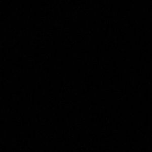 Meet your Posher, Ines